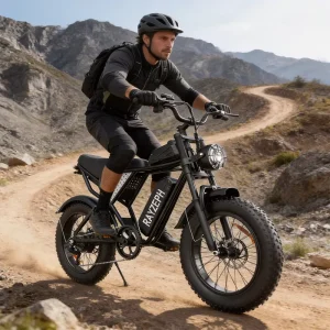Ridstar Q20 Mini Fat Tire Electric Mountain Bike
