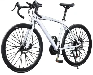 Road Bicycle NO.1