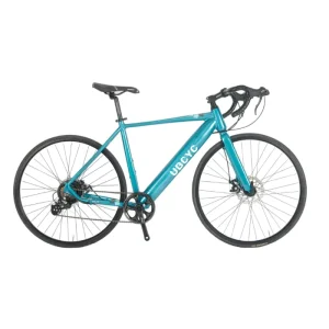 Road Two Wheels Electric Bikes for Adults Full Suspension Road Electric Bicycle Ebike Mtb Battery Cycle