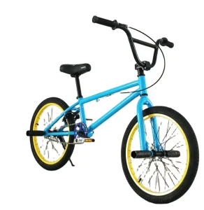 Rocker Mini Bmx Bike Steel Frame 20 Inch Freestyle Bicycle Tianjin Factory Royal Children Customized Painting Street