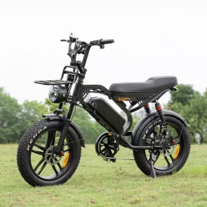S20 Electric Hybrid Bicycle, Upgraded 250W V20 Fat Bike, Off-Road Urban Electric Bicycle with Fat Tires for the European Market