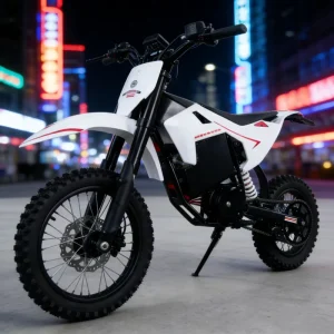 S3 Electric Mountain Bike & Dirt Bike 60V 23.4Ah High Battery Capacity Adults Electric Dirt Bikes for Sale