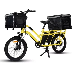 SF 600 2 Wheel Powerful Electric Cargo Bike 48v 750w 30ah Dual Battery Long Range Customized Electric Food Delivery Cargo Ebike