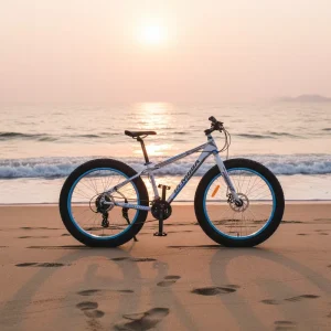 SH S112 26*4.0 Alloy 27-Speed Snow Mountain Bike