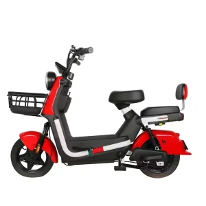 Shiwei Y2-BG Streetbikes Electric Bike with 48V Motor and Fast Speed Performance