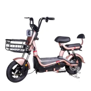 Shiwei Y2 C Streetbikes 14 Inch City Electric Bike 350W 48V 12ah Battery with Seats Support CKD