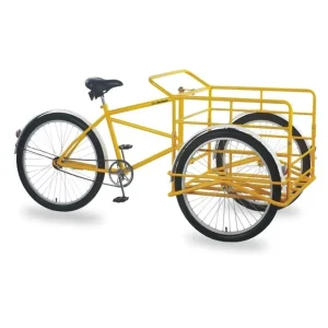 Single Speed Aluminum Cargo Bike Holland Front Loading Tricycle with Coaster Brake for Carrying Goods