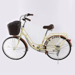 Single Speed Women’s Steel Fork City Bicycles for Daily Use