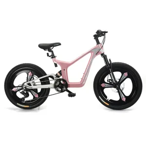 Small Boys Girl 20 Inch Kids Bike Child Bicycle Children by Cycle for 10 Year