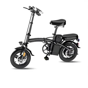 Small Portable Folding Electric Bicycle with 48V Lithium Battery Brushless Motor 16Ah Battery E Bike
