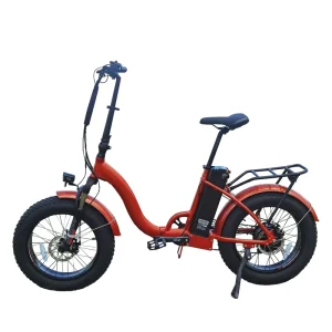 Snow Fat Electric Folding Bike 20” Portable 750w E Bicycle Step Thru City E-bike Foldable for Commuters
