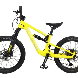 Soft tail Mountain Bike Carbon Fiber 10 speed Dual Disc Brake Oil Gas Fork Ultra light Double Shock Absorption Front Rear Model
