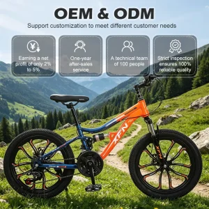 Speed Model 21-Speed Street Bicycle for Boys Comfortable Saddle & Disc Brake System Youth Bikes on Sale in the Philippines