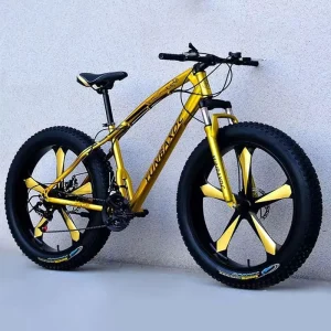 Sport 21 Speed Fat Big Wheels Downhill Male Mountain Bike 24 26 27.5 29 Inch Adults Beach Bicicletas Men Snow Bicycles