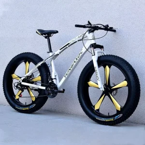 Sport 21 Speed Fat Downhill Mountain Bike 26 29 Inch Adults Beach Bicicletas Men Snow Bicycles
