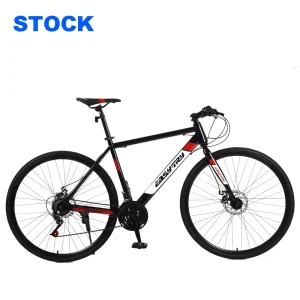 Sport Bike for Men High Carbon Steel Frame OEM 700c 21 Speed Disc Brake Racing Road Bike