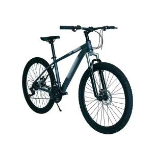 Sport Style Frame Downhill MTB Mountain Bike for Men