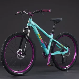 Sports Bicicleta Cycle Men Dirt Jump BMX Bicycle Tire Bike