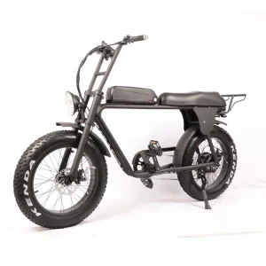 Stealth Bomber Electric Bike HP-E73 Vintage 100km All Terrain Chopper Bicycle Beach Cruiser Bike
