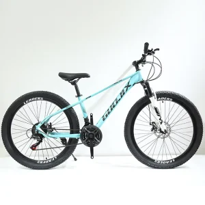 Steel 24 Speed Disc Brake MTB Black Tires Suspension Fork Adult Men’s Mountain Bike