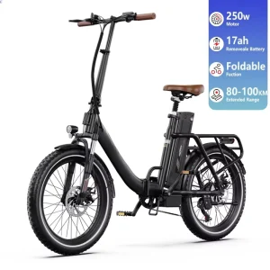 Steel Frame 48V 250W Electric Fat Bike Folding Urban Hybrid E-Bike IP54 Waterproof 20 Inch Wheels Adjustable Seat Handlebars