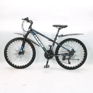 Steel Frame Mountain Bike 24 Inch Bicicleta Dual Disc Brake System 21 Speed Gears MTB