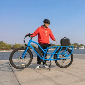 Step Through 2 Seat Long Tail Cargo Electric City Bike for Family