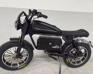 Sting Electric Mountain City Fatbike Ebike Commuting OEM ODM E Bicycle Upgraded Suspension Ready Stock