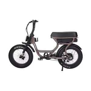 Super Beach 1000W Electric Bike with Retro 73 Ebike Retro 7 Speed Fat Tire Bicycle 48V Lithium Battery Power Supply