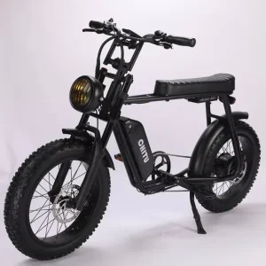 Superi 73 750W 500W 250W Rear Hub Motor Electric Mountain Fat Bike Aluminum Alloy Frame Disc Brakes Lithium Battery Long Commute