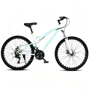 Supplied by Chinese Factory Mountain Bikes with High Carbon Steel Frame and Dual Disc Brakes Adult Off road Bicycles