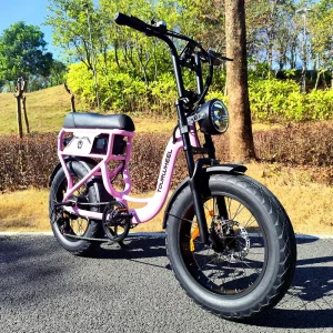 T7 Electric Bicycle Manufacturer Retro-Powered Long-Range Urban Mountain Hybrid Electric Bicycle