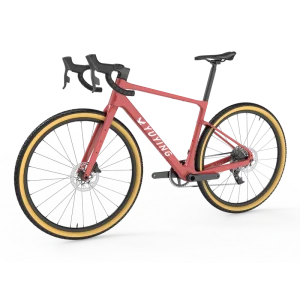T800 700c*45c Fully Carbon Adult Road Complete Gravel Bike with OEM Painting for City Commute
