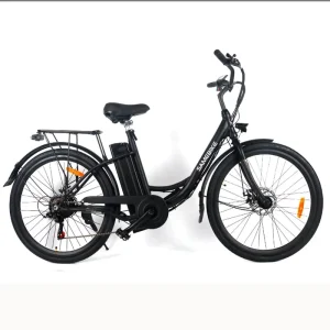 TDE10L 26″ High Carbon Steel City Removable Battery 250W Rear Hub Motor Digital Electric Bike
