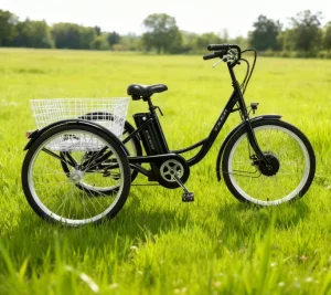 TR03 Electric Cargo Mountain Bike Rear Hub Motor 36V 250Wh 6-Speed E-Cargo Bike