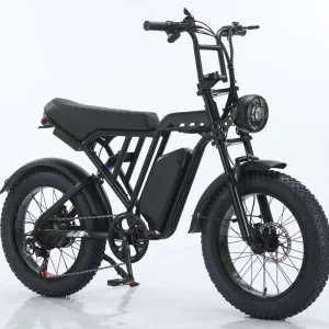 TST R002 20″ Fat Tire Ebike 750W 1500W Full Suspension Electric Bicycle 7 Speed Retro Moped Style Off-road Bike