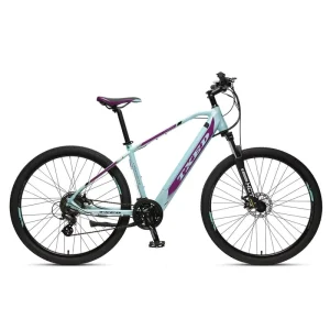 TXED 29 Inch 36V 250W Lithium Battery Rear Hub Motor Electric Mountain Bike 24 Speed Full Suspension Mtb Electric Bicycle