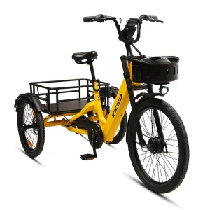 TXED 3 Wheel Aluminum Alloy Electric Cargo Bike Share 250W Rear Hub Motor Electric Bike for Delivery