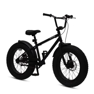 TXED Fashion BMX Bike 20 Inch Steel Frame Steel Fork BMX Bike Kids Single Speed Kids Fat Tire BMX Bike