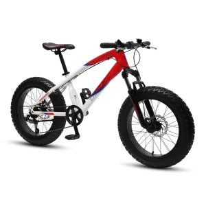 TXED Fat Tire Bicycle 26 Inch Mountain Bike Fat Bike Beach Cruiser 26″ Fat Child Mountain Bike