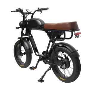 TXED Retro Solar Powered Brushless Disc 48V Smart Electronic Aluminum Alloy Single Speed Lithium Battery Beach Cruiser E-Bike