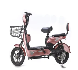 The Hottest and Best Electric Bicycle Electric Bike 48V Voltage Electric Bicycle