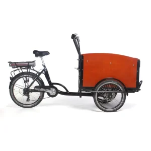 Three Wheel Delivery Cargo Bike Electric Front Wood Box Kids Seat Bicycle Family Cargo Bike