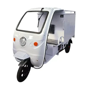 Three-Wheel Electric Cargo Bike 48V Brushless Motor 15AH Central Motor Frozen Cabin Cooling System Ice Delivery