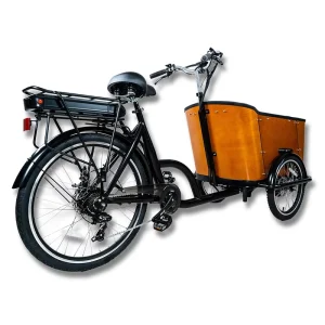 Three Wheel Electric Cargo Bike Family Use Front Loading Box Bike