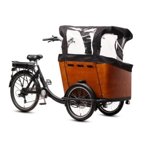 Three Wheel Electric Tricycle 48V 500W Electric Cargo Bike