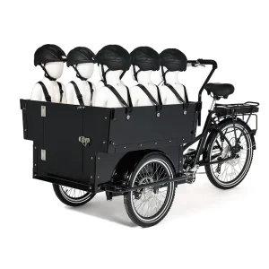 Three Wheel Family Cargo Bike Steel Electric Tricycle with 36V Voltage CE Certified for Passenger Use