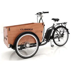 Three Wheel Family Electric Cargo Bike Bicycle Front Box Loading Cargo Bike for Children