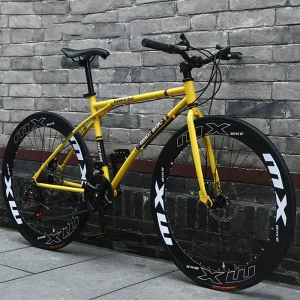 Tianjin 21 Speed Wheel Track Bicicleta Aro 26 27.5 29 Inch Adults Cycling Unisex Mountain Fixed Gear Bike for Man