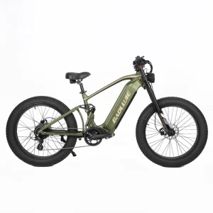 Torque Dual Motors Electric Bike 55KM/H 26*4 Fat Tires Aluminum Alloy Frame Hydraulic Disc Brakes 52V 23Ah Battery